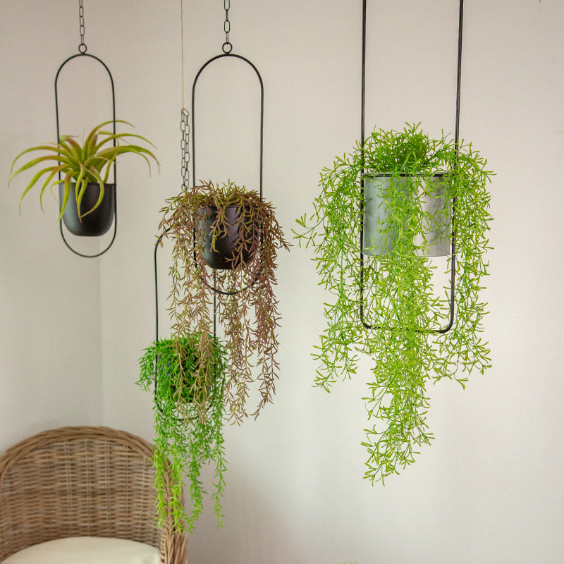 Moderne Hængende Planter til Dit Hjem