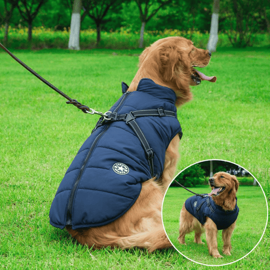 Varme og Vandtæt Vinterjakke til Hunde med Seler