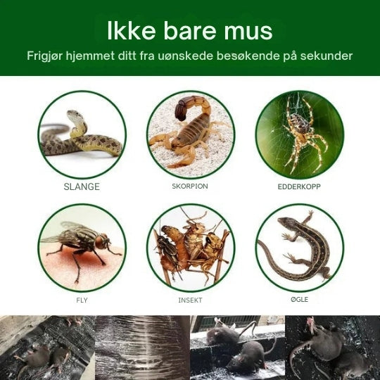 Højstyrke klæbende fælder til effektiv bekæmpelse af gnavere