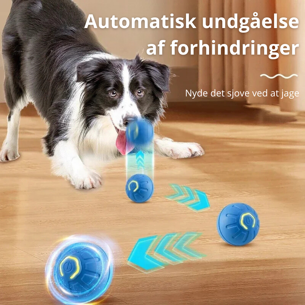 Automatisk Boldkaster til Hunde – Aktiver & Glæd Din Hund