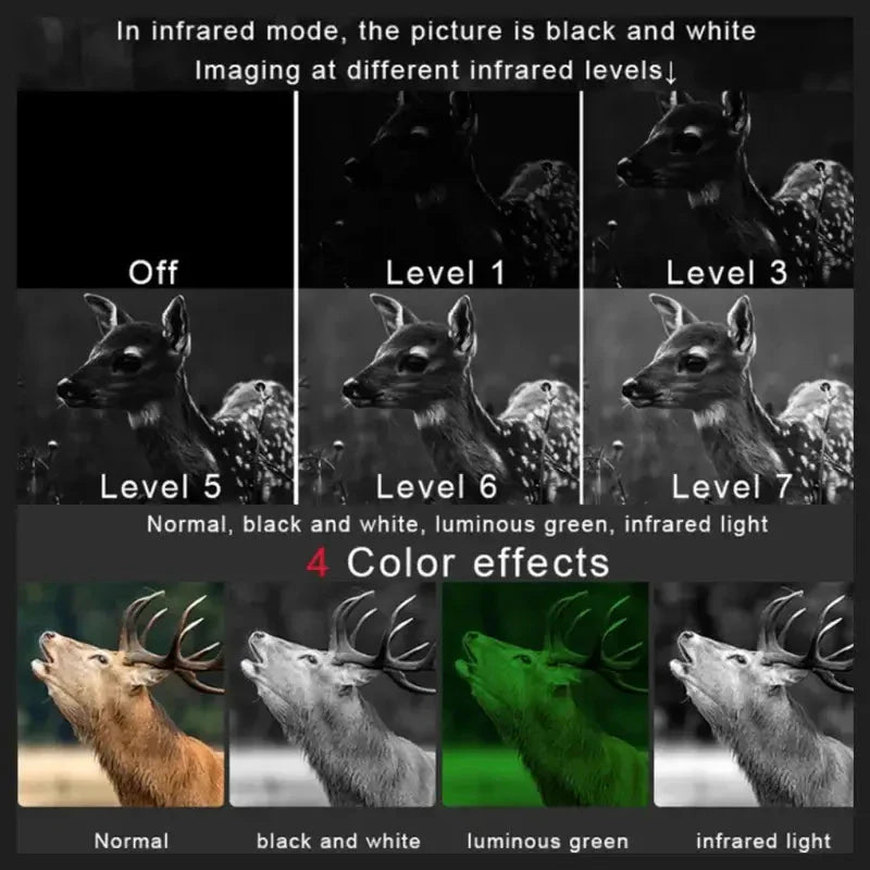 Natteseer 3D med Infrarød Syn