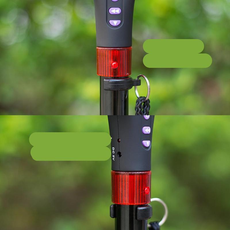 LED-belysta Nordic Walking-stavar – EasyStep Plus