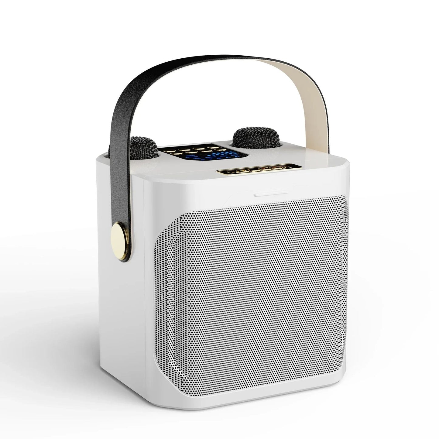 Bærbar Bluetooth Højttaler med Dobbelt Mikrofon til Karaoke
