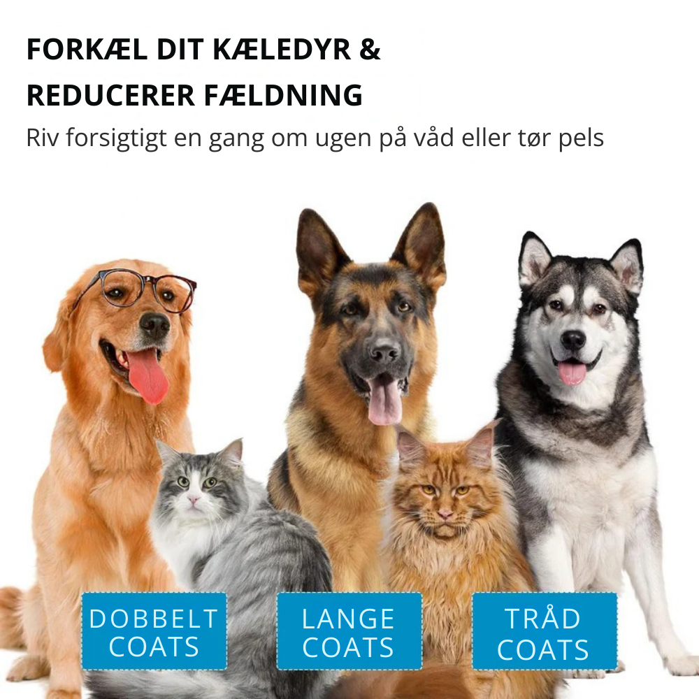PetSpray Deodorant för Husdjur | Tar bort dålig lukt och lugnar