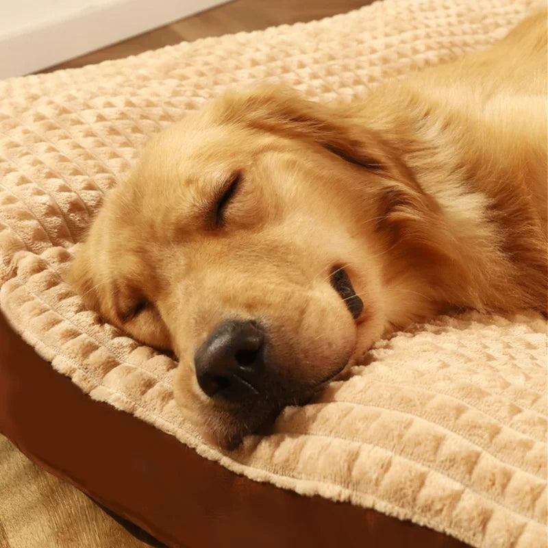 Ergonomisk Hundeseng med Ortopædisk Memory-Skum