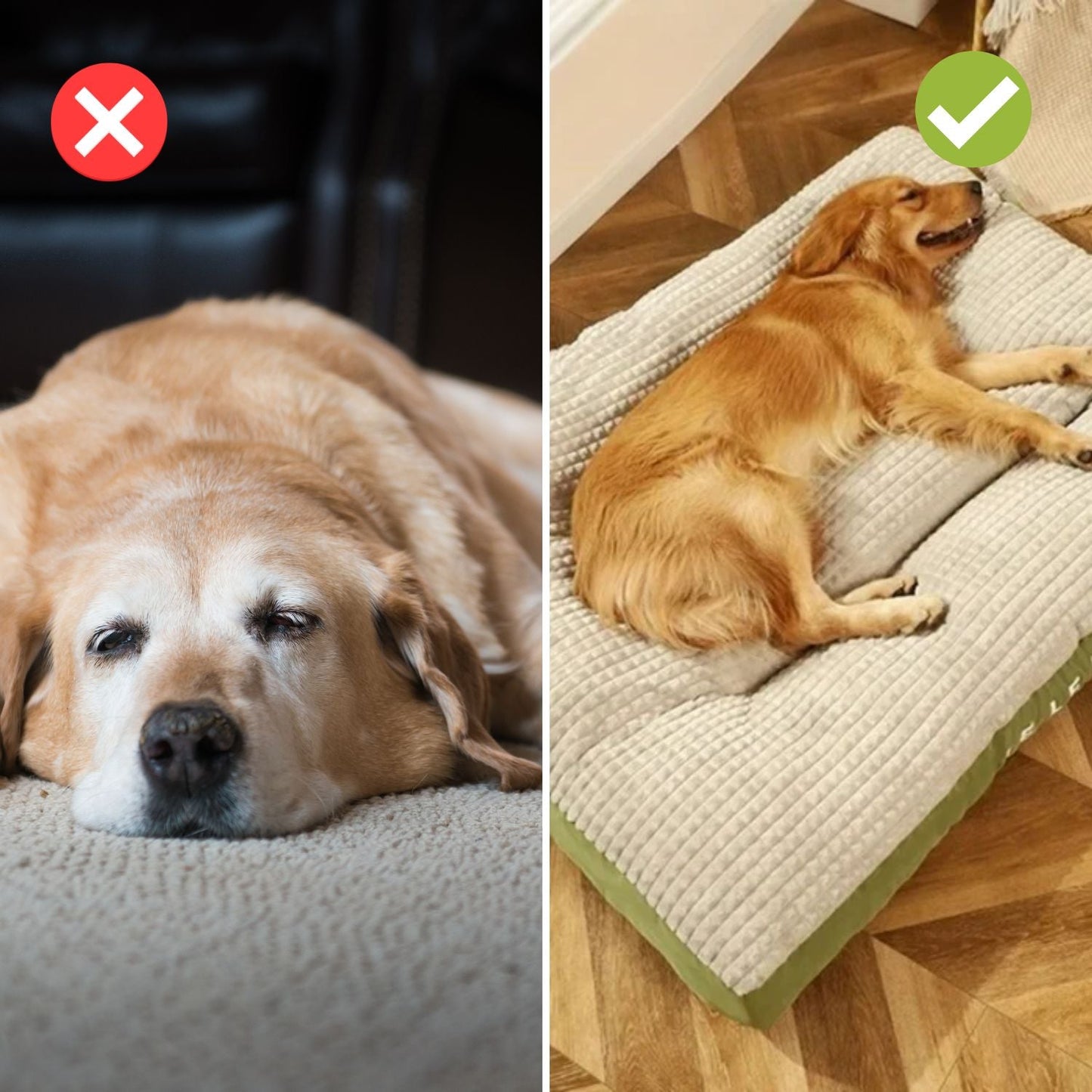 Ergonomisk Hundeseng med Ortopædisk Memory-Skum