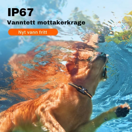 SmartCollar - Trådlös hundtränare med justerbara funktioner