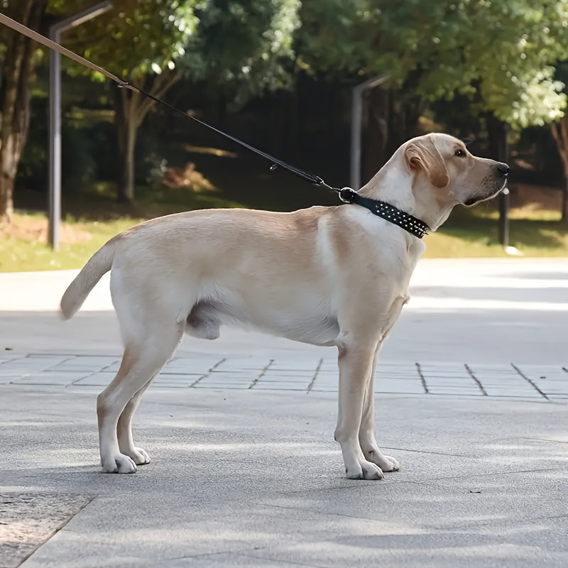 Justerbart Hundehalsbånd med Stifter - Robust og Sikkert til Store Hunde