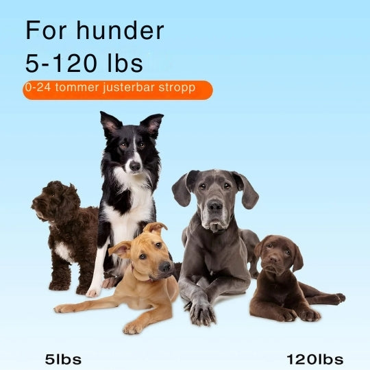 SmartCollar - Trådlös hundtränare med justerbara funktioner