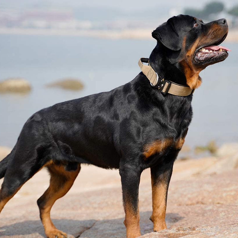 Taktisk hundehalsbånd med håndtag - PowerGrip