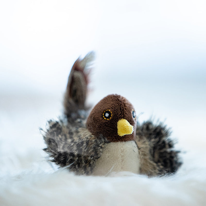 Interaktiv kattleksak - ChirpBird