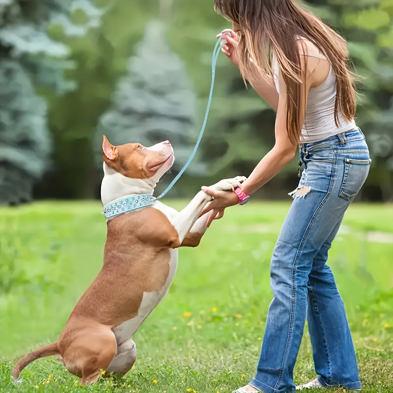 Justerbart Hundehalsbånd med Stifter - Robust og Sikkert til Store Hunde