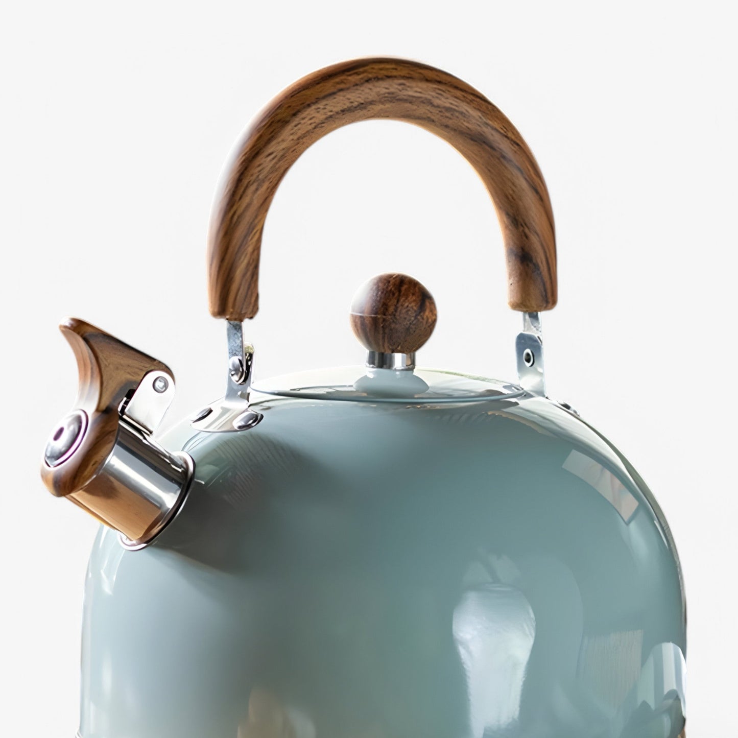 Elegant visselpipa till induktionshäll - 2,5L