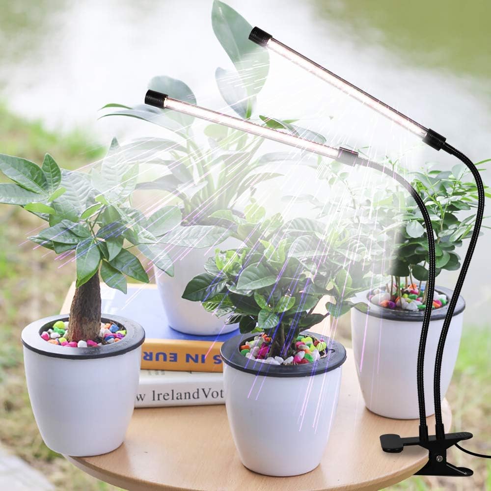 Effektiv LED-växtbelysning för friskare plantor