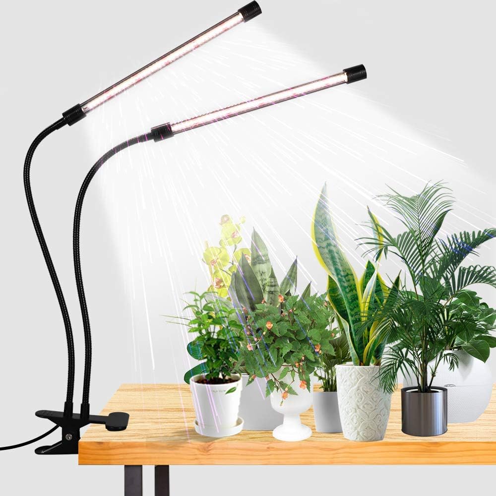Effektiv LED-växtbelysning för friskare plantor
