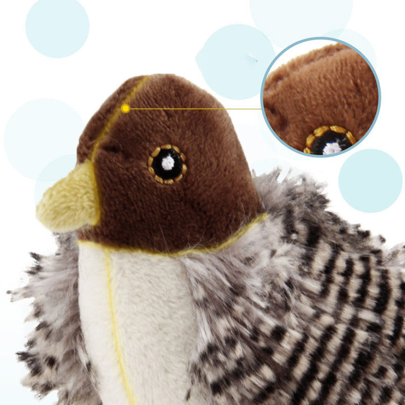 Interaktiv kattleksak - ChirpBird