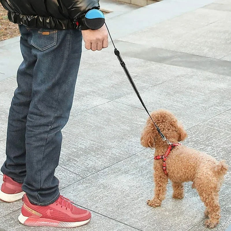 Håndfri Retraktabel Hundesnor - Optimal Frihed til Gåturen