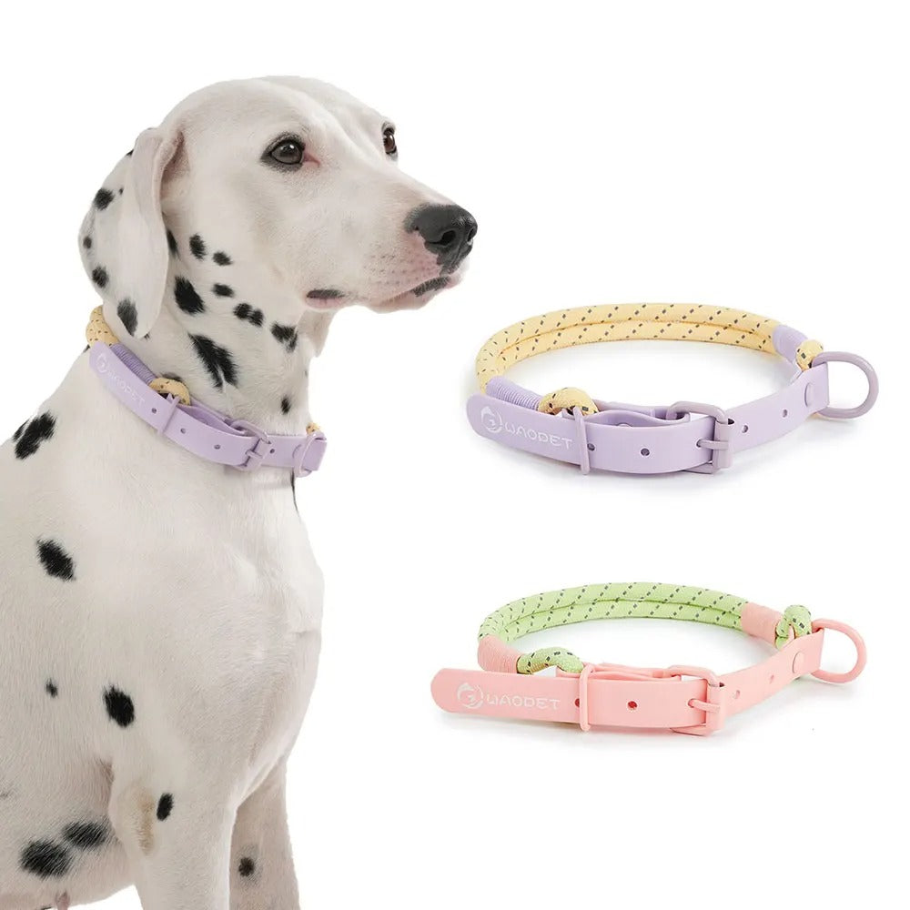 Stilrent och Vattentåligt Hundhalsband med Bonbon Design