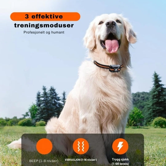 SmartCollar - Trådlös hundtränare med justerbara funktioner