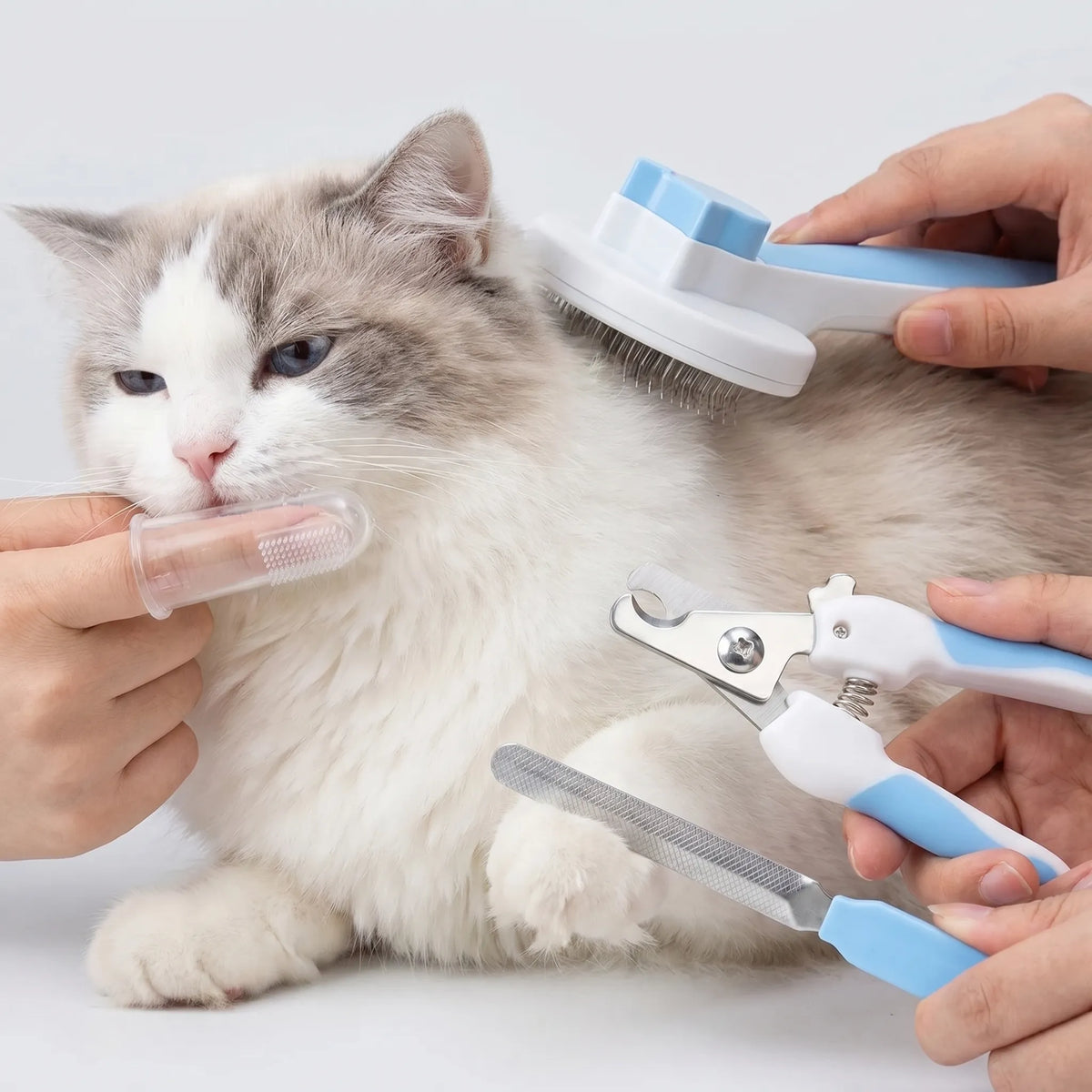 Plejesæt til katte – 8 dele