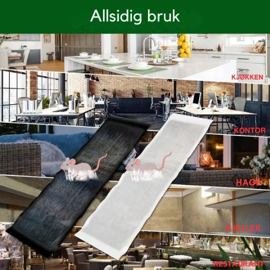 Højstyrke klæbende fælder til effektiv bekæmpelse af gnavere