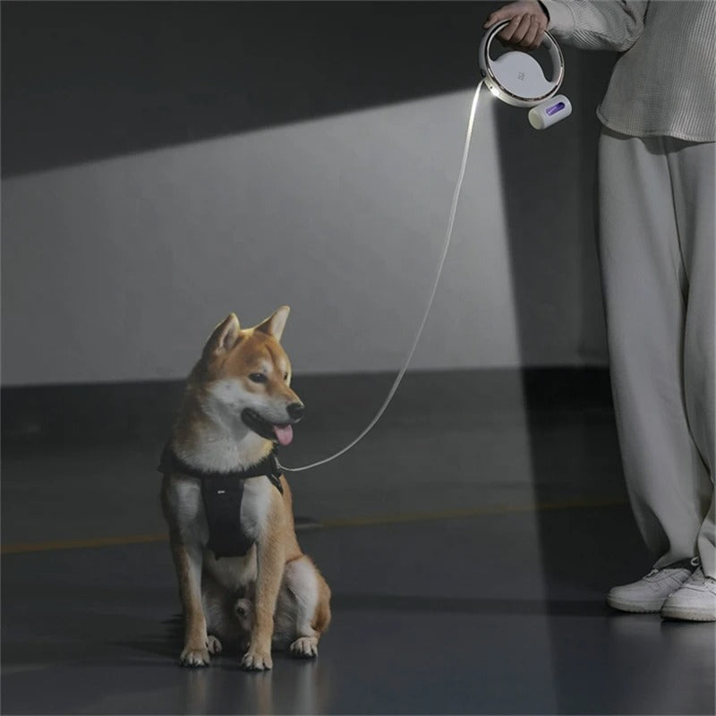 Automatisk Hundesele med LED – Ergonomiskt Handtag och Säkerhetslampa