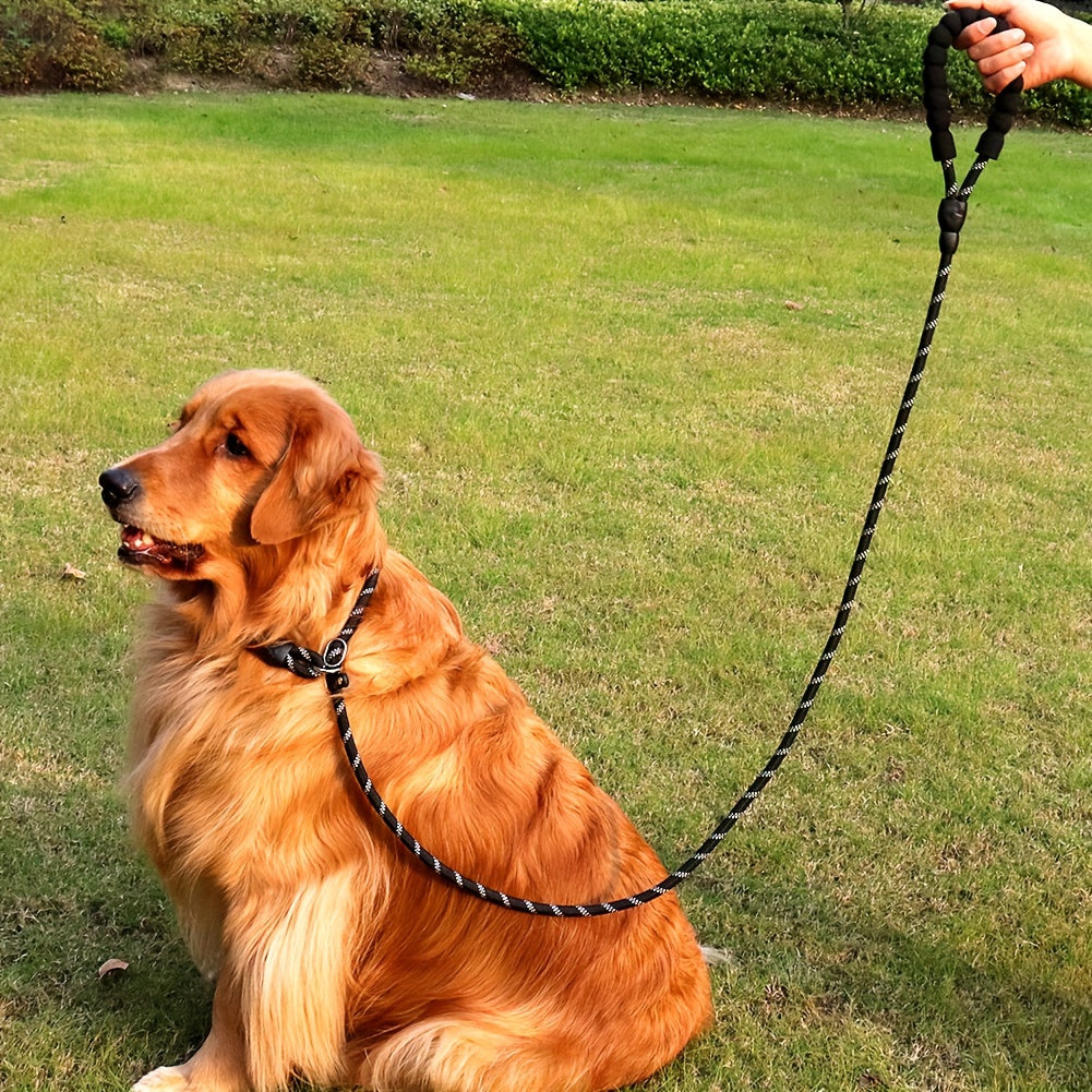 Reflekterande hundkoppel med vadderat handtag – justerbart och hållbart