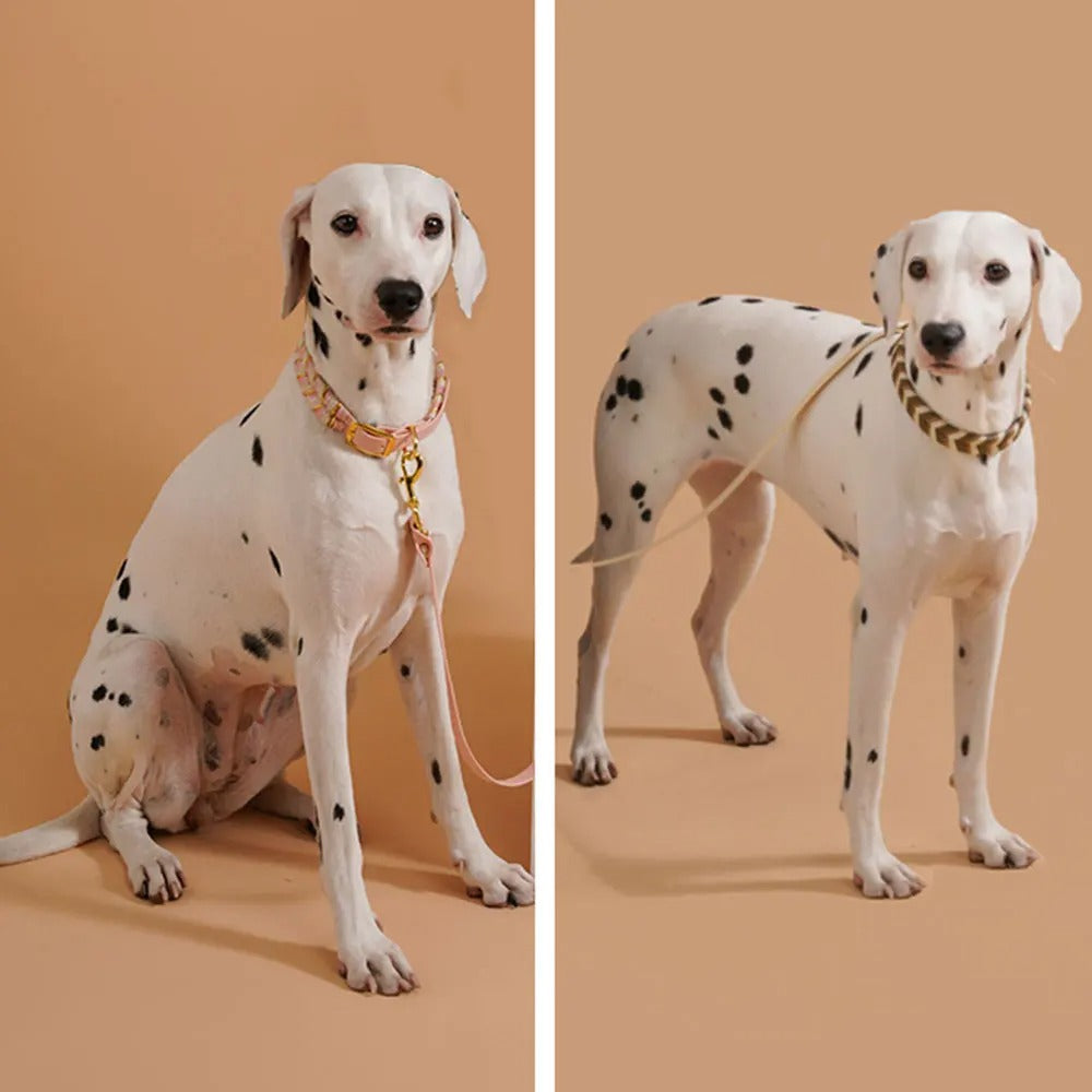 Chikt Hundehalsbånd til Udendørs Eventyr - Justerbart og Stilfuldt