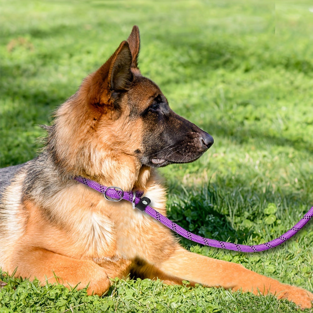 Reflekterande hundkoppel med vadderat handtag – justerbart och hållbart