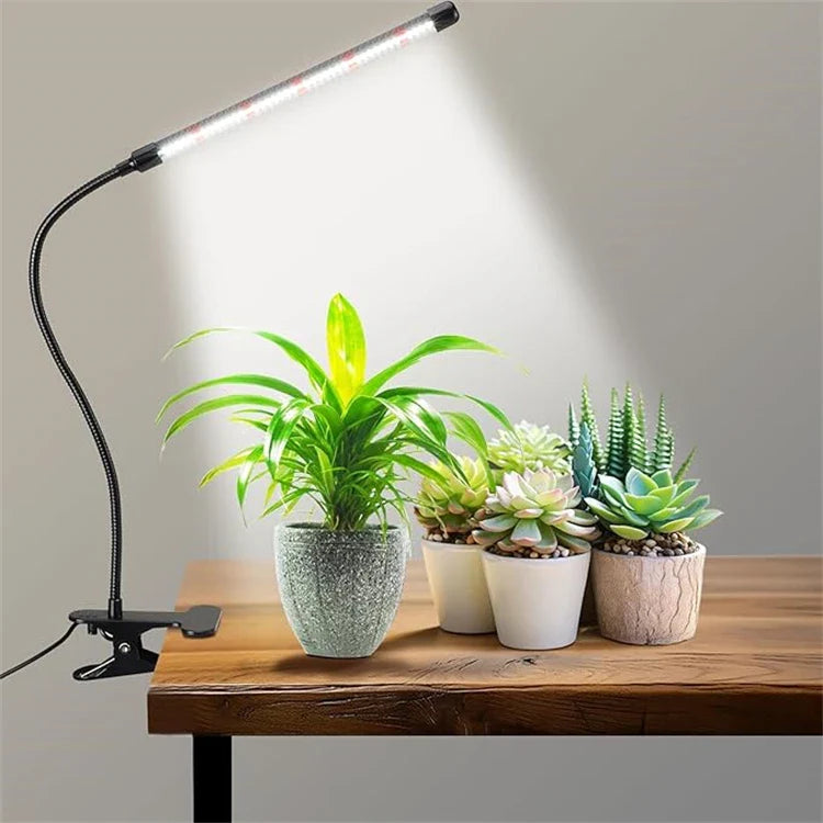 Effektiv LED-växtbelysning för friskare plantor