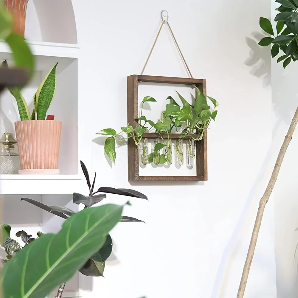 Elegant planteringskärl för effektiv växtförökning