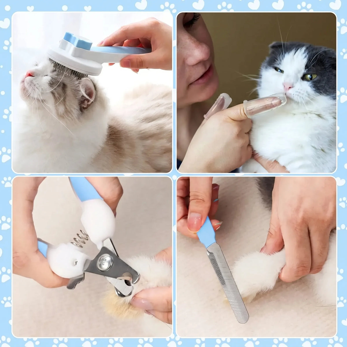 Acht-delt sæt til pleje af katte