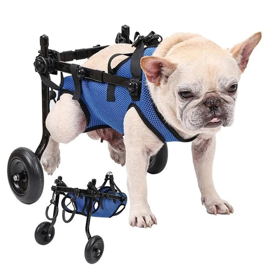 Justerbar Mobilitetshjælp Ergonomisk Hundehjulstol