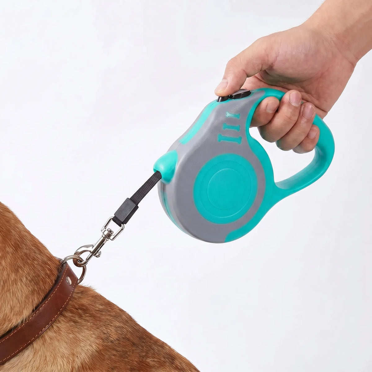 Automatisk Hundeline til Små Hunde - Inddragelig Design