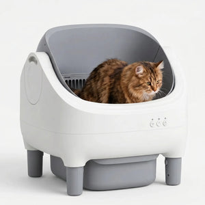Automatisk självrenande kattlåda med låda