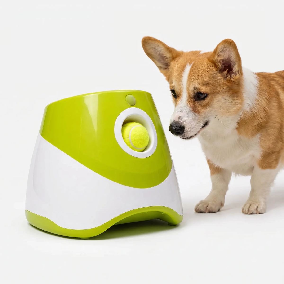Automatisk Boldkastemaskine til Hunde - Boldpistol