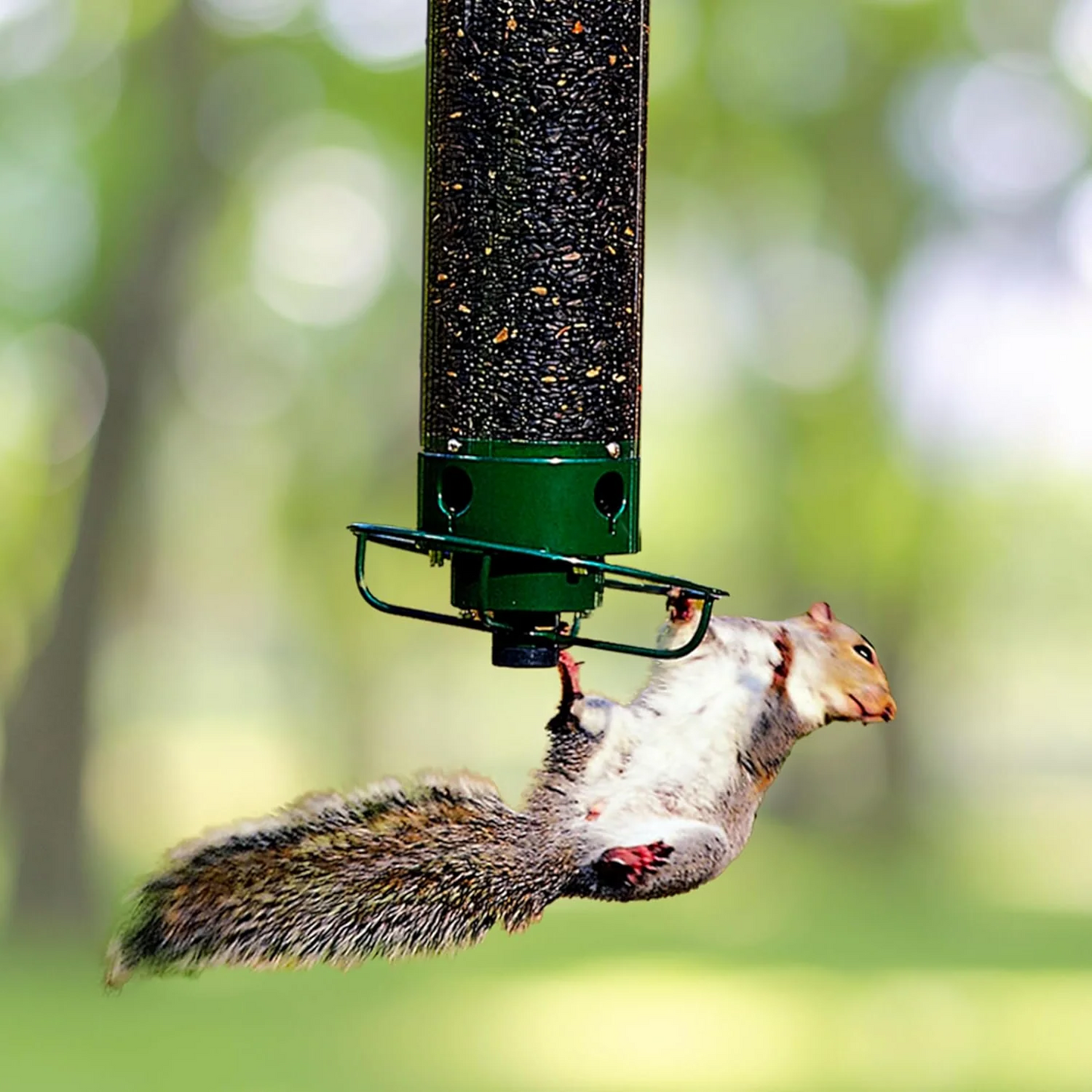 Väderbeständigt Fågelhus i Metall, SquirrelSafe™