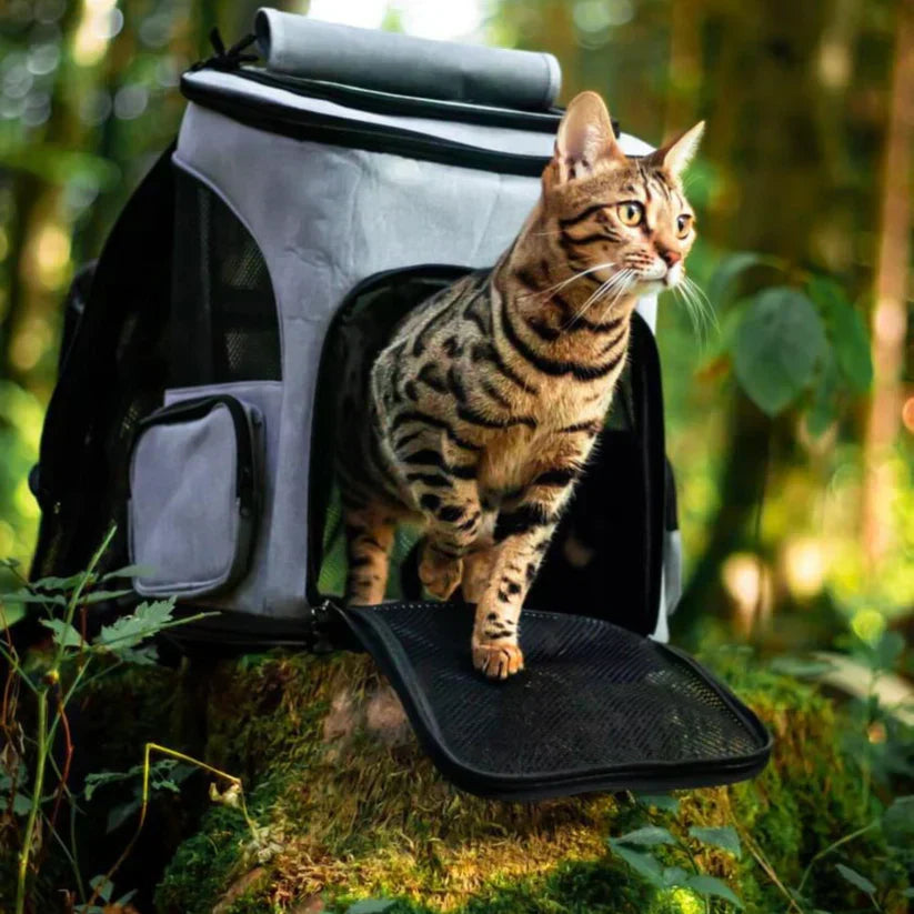 Katte rygsæk – PurrPack