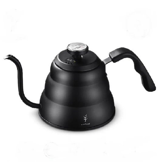 Elegant vattenkokare med inbyggd termometer