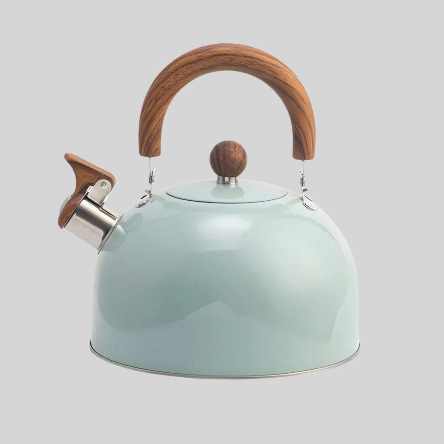 Elegant visselpipa till induktionshäll - 2,5L