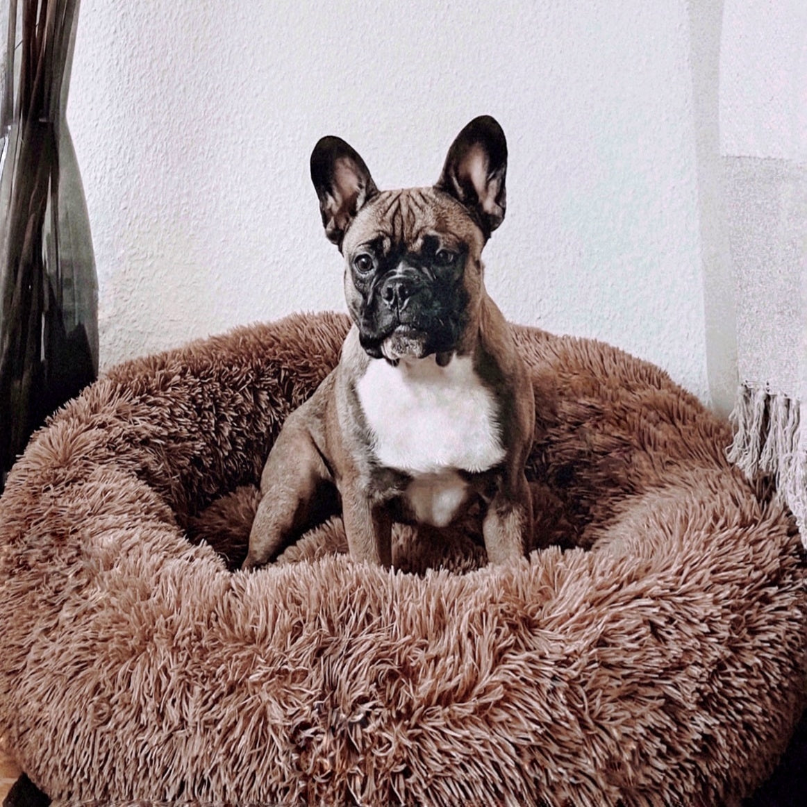 Fluffy Plus Hundeseng – Den Ægte