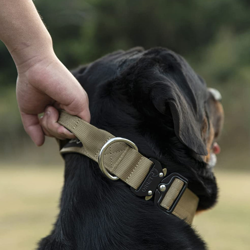 Hundhalsband med handtag - Taktisk design