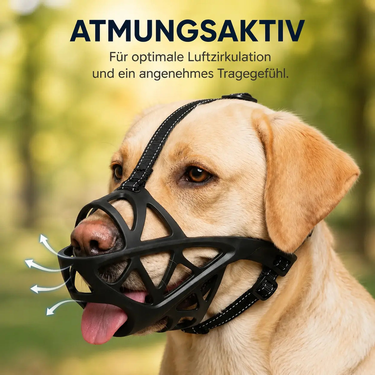 Hundekurvetræner | Justerbar og åndbar til daglig brug