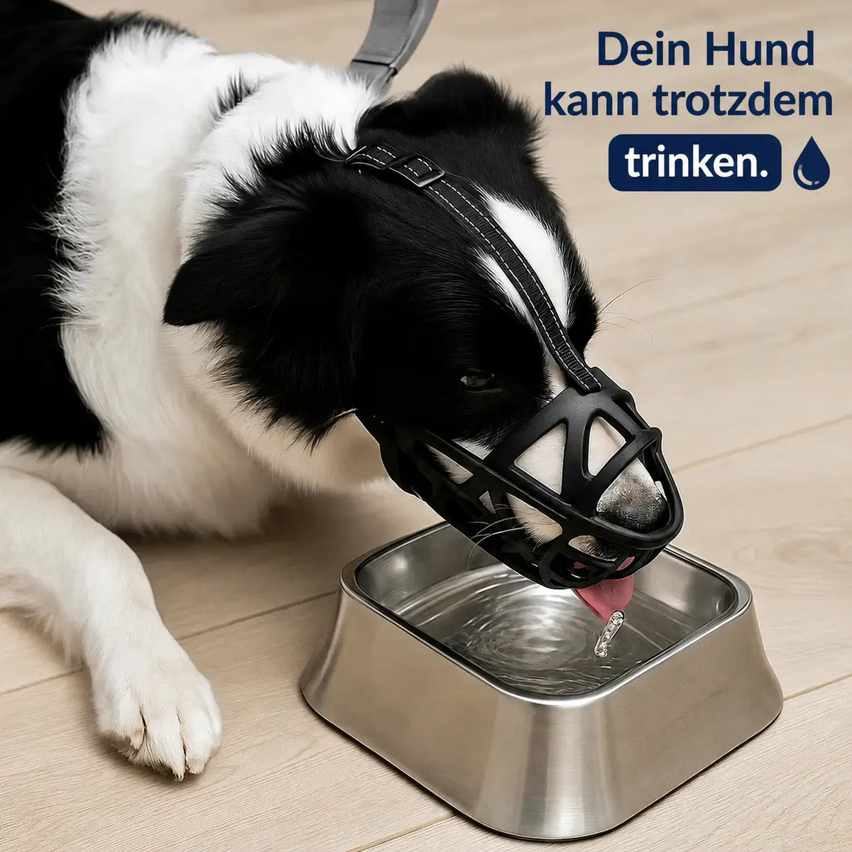 Hundekurvetræner | Justerbar og åndbar til daglig brug