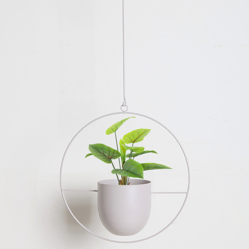 Moderne Hængende Planter til Dit Hjem
