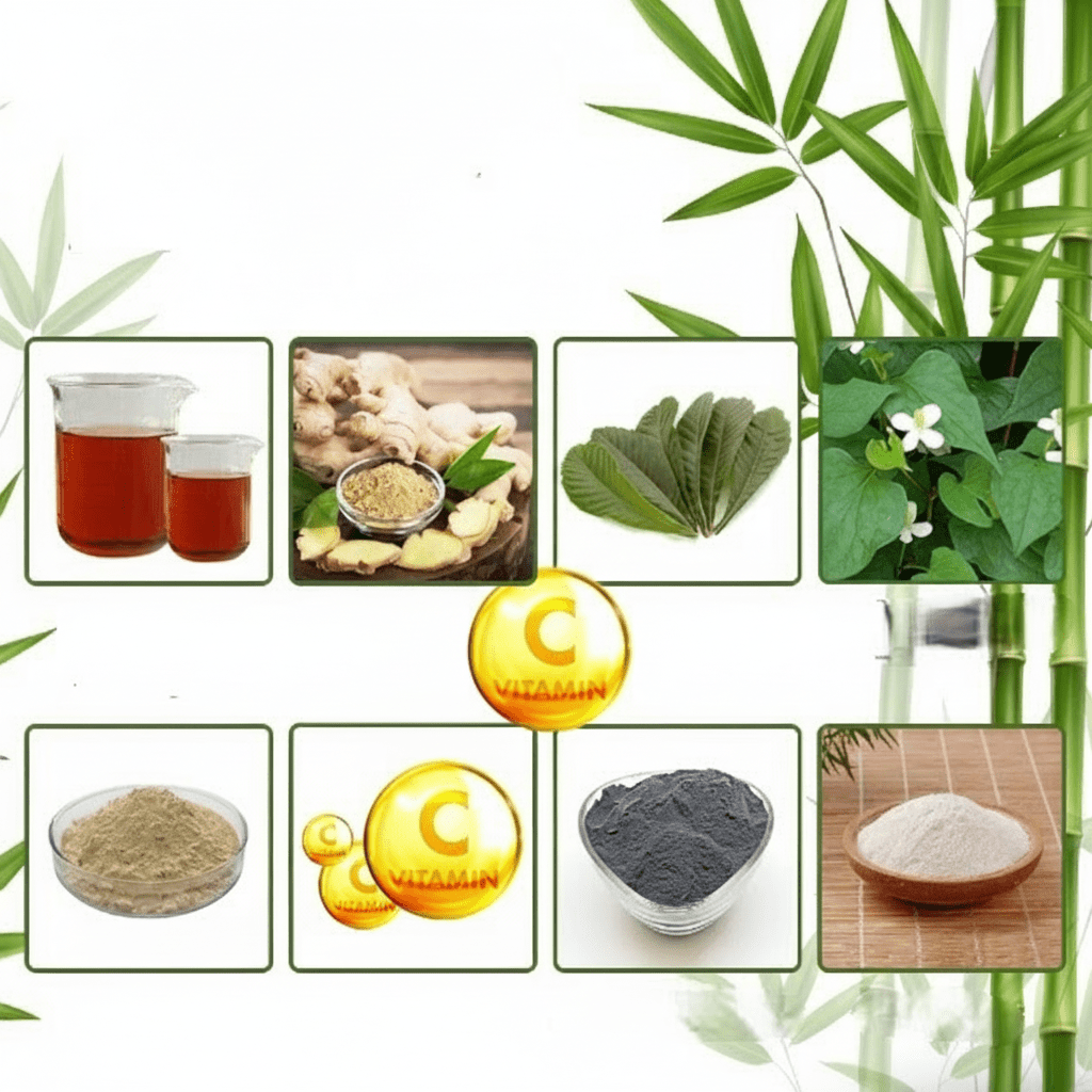 Naturliga Detoxplåster för Effektiv Avgiftning Medan Du Sover