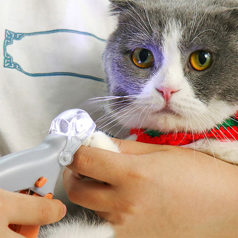 Avancerad hundtrimmer med precisa säkerhetssensorer och hållbar design