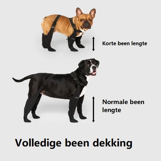 Vandtætte Støvler til Hunde | Beskyt Dine Kæledyr i Ethvert Vejr
