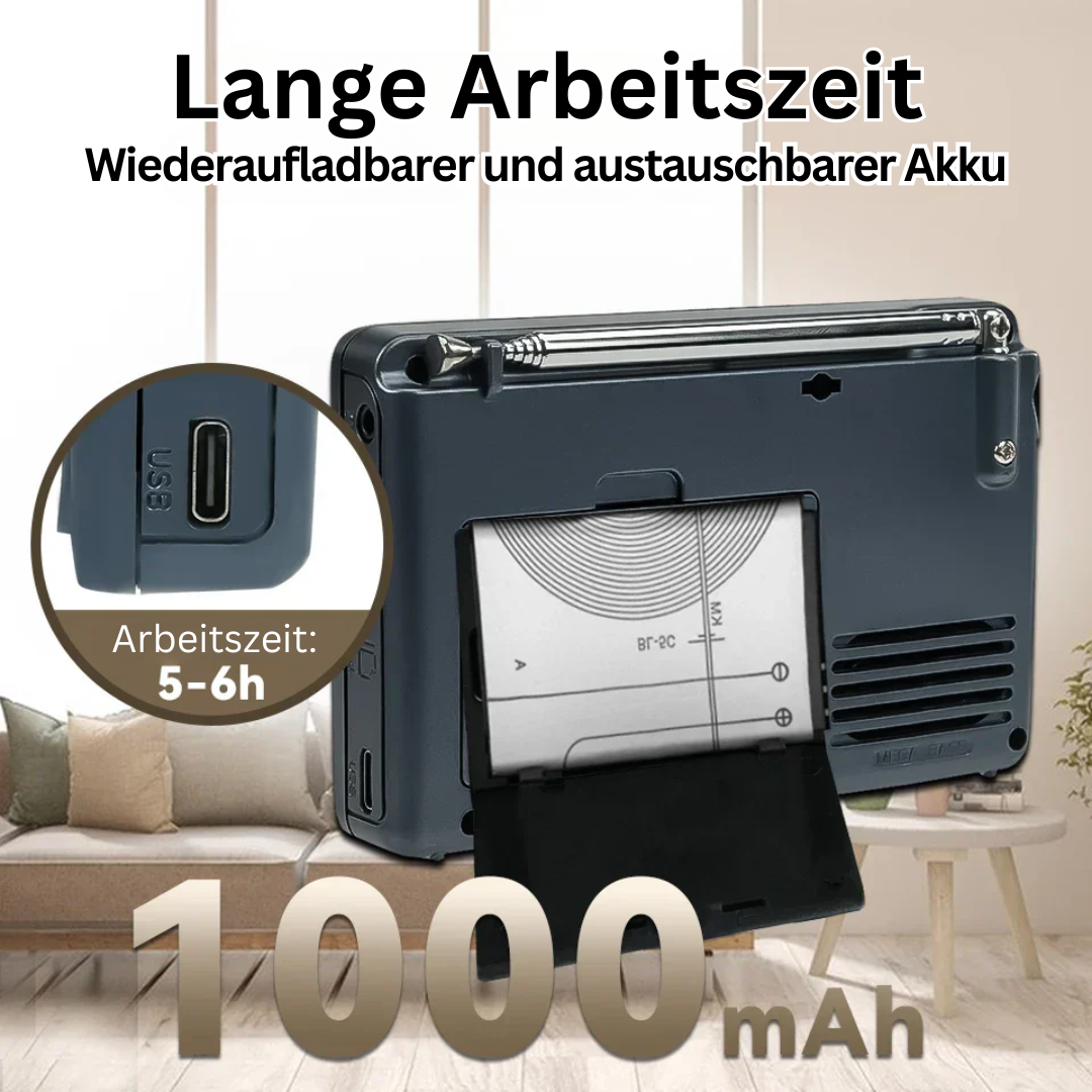 Kompakt bærbar radio – SoundPort