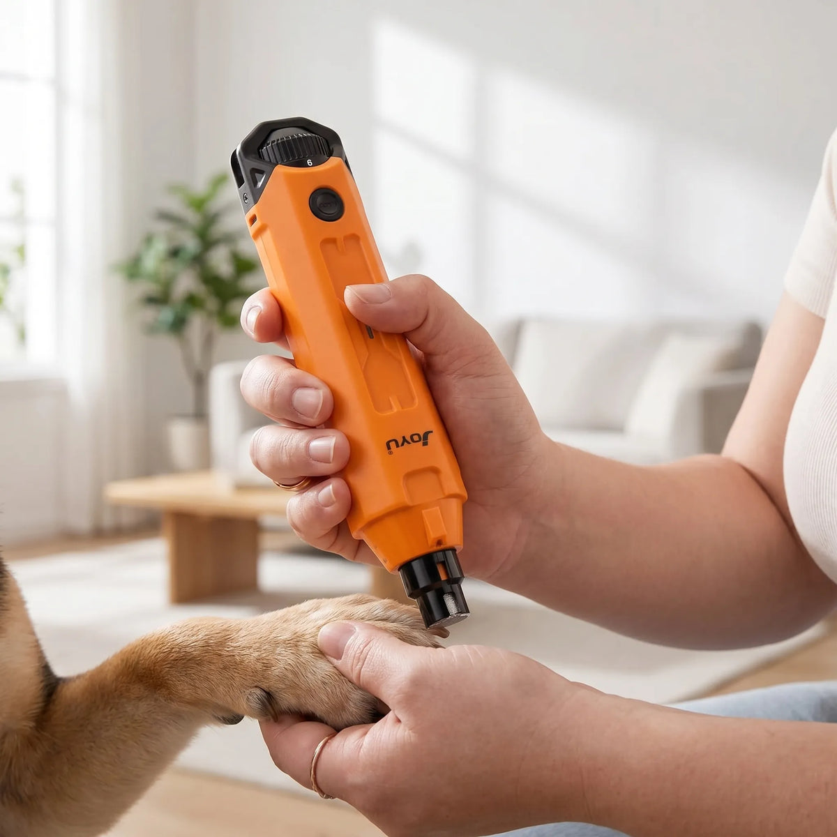 Genopladelig elektrisk hundeklofil med slibefunktion